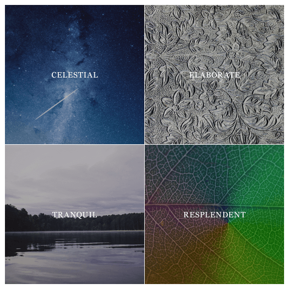 What Inspires Us