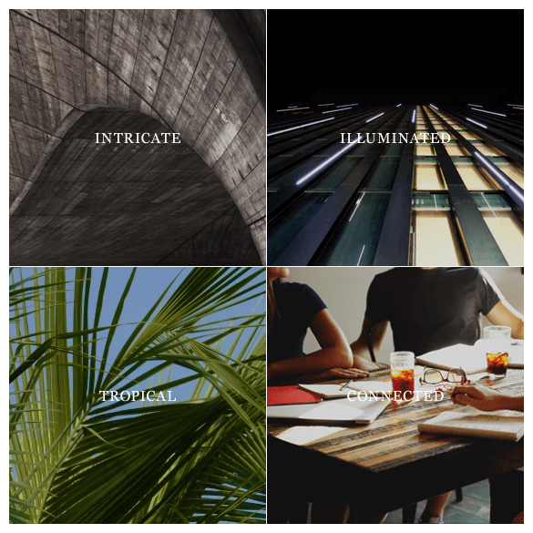 What Inspires Us