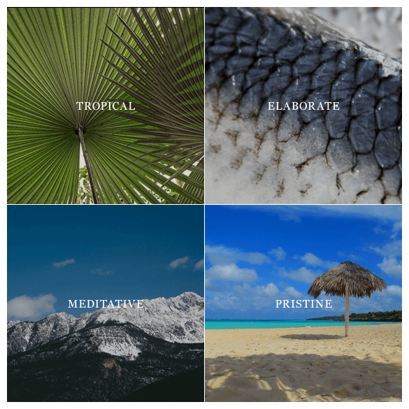 What Inspires Us
